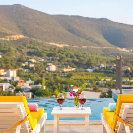 Patron Kaş